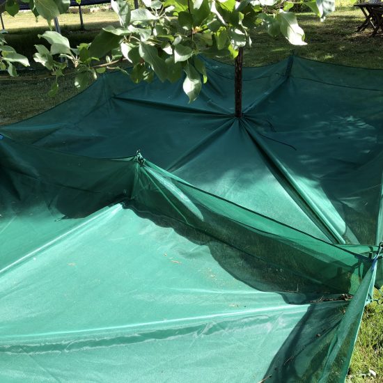 The Original Fruit Collector ® harvesting net Fruit Collector