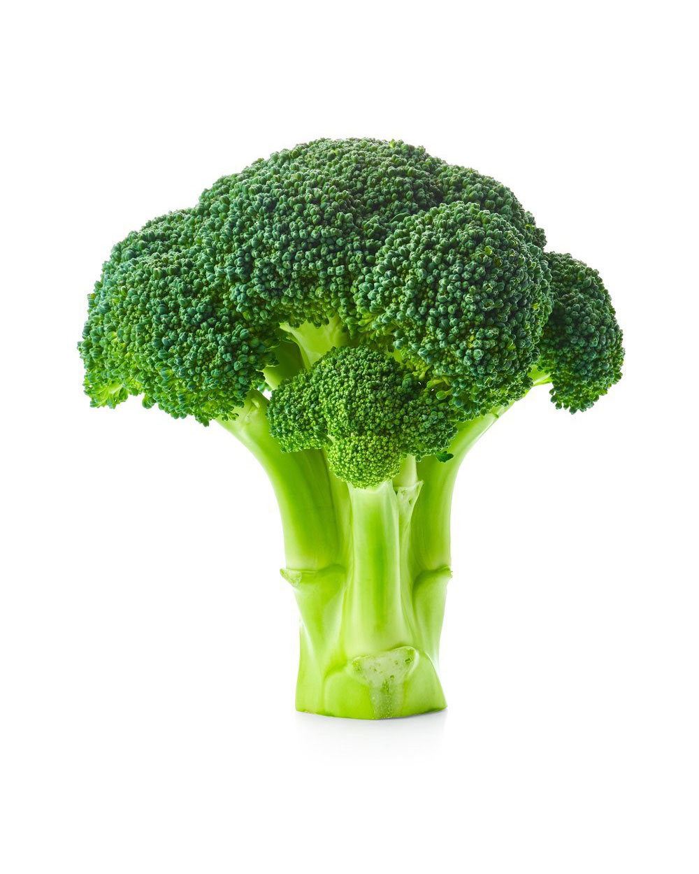 Broccoli Bunch to