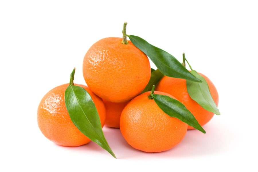 Clémentines en feuilles Fruiterie Potager