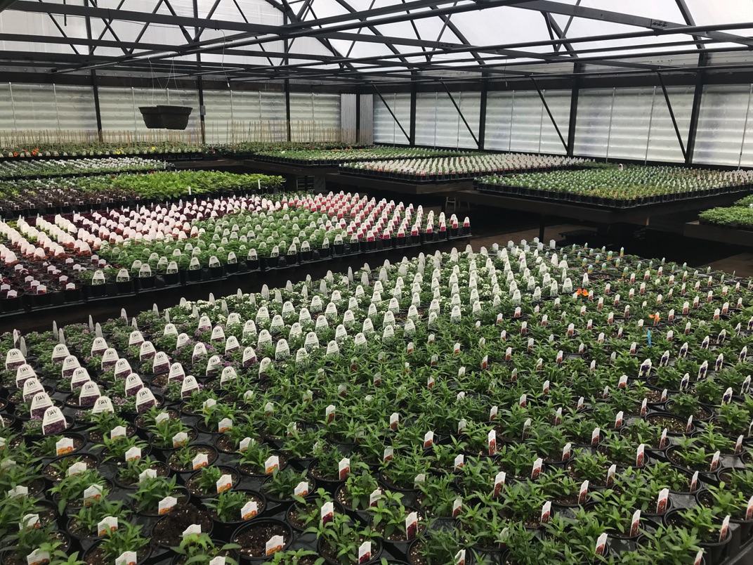 About Fruitful Farm & Nursery Arlington, WA