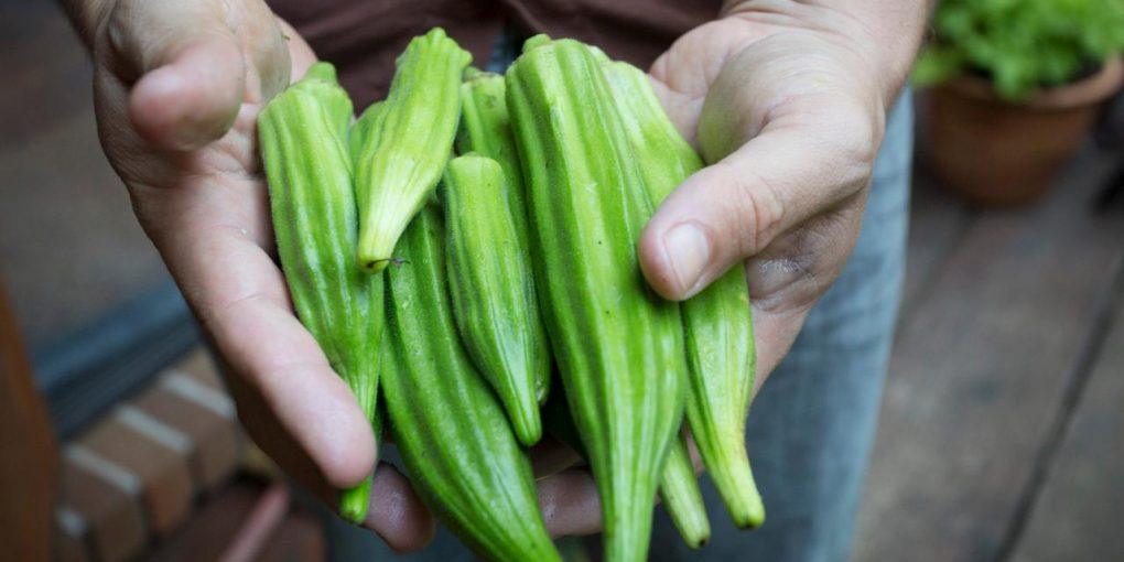 How To Freeze Okra Fruitful Kitchen