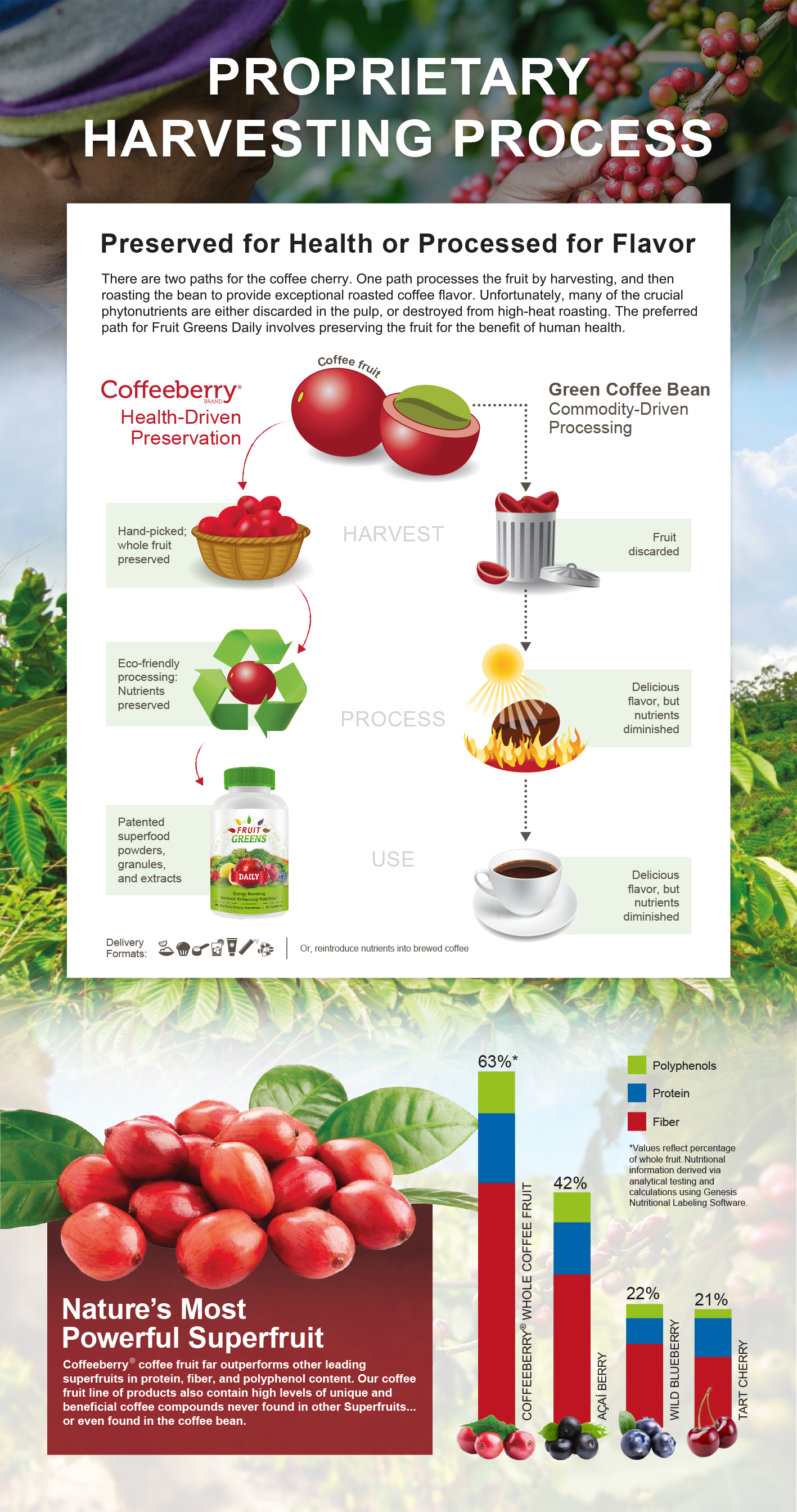 what is coffee fruit extract Caption Update