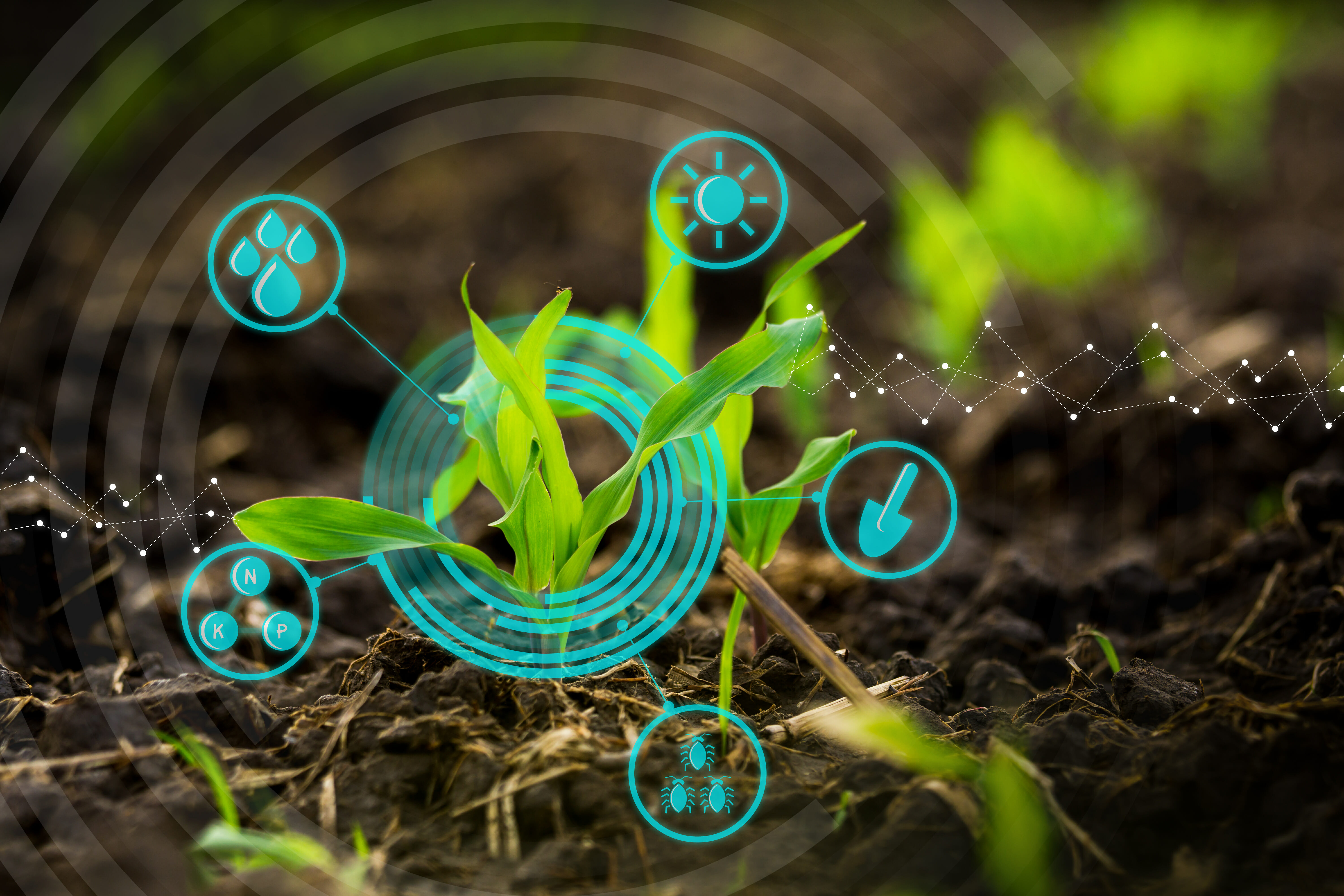 5 Agricultural Technologies That Help Your Orchard FGS