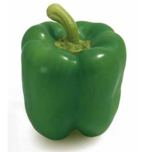 Groene paprika • Fruithal Smits