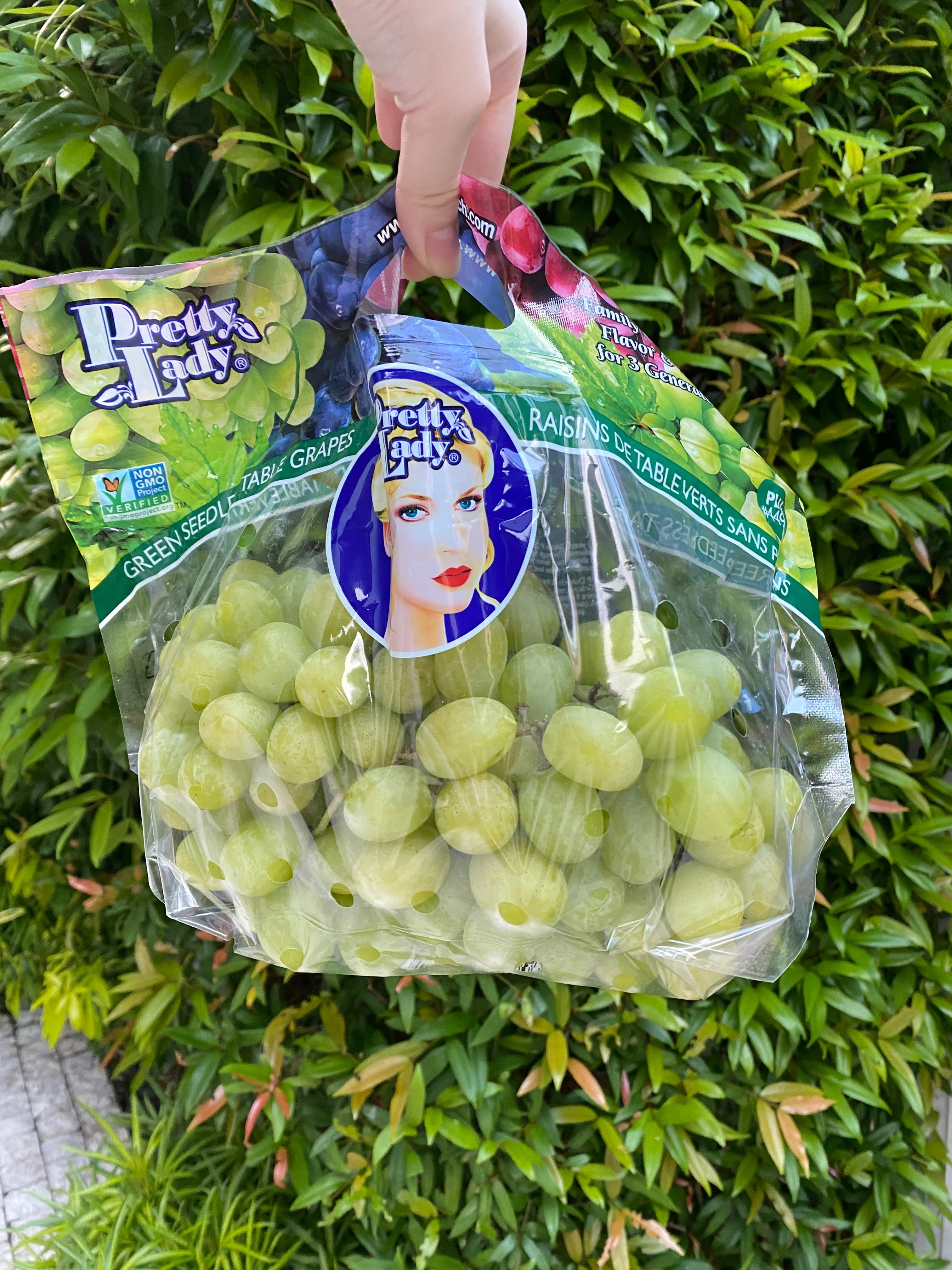 Ivory Green Grapes Fruit Loot Ph