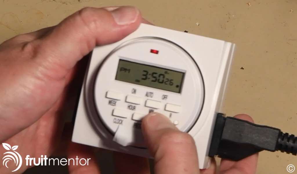 Ebb and Flow System for Easy Rooting of Fruit Tree Cuttings fruitmentor™