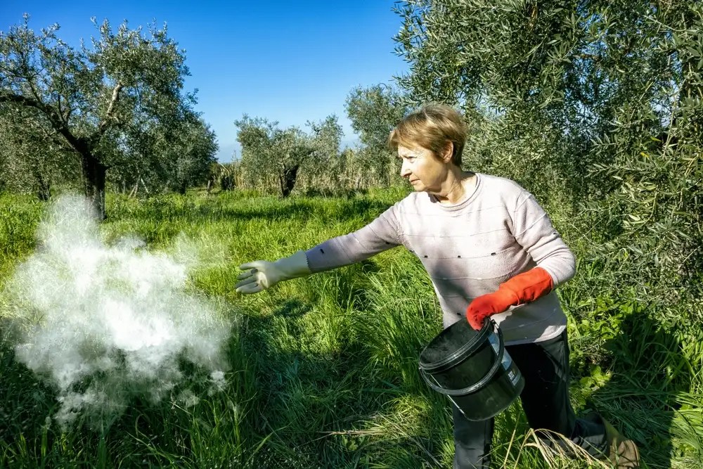 When to Fertilize Fruit Trees in California Your 4Season Guide for