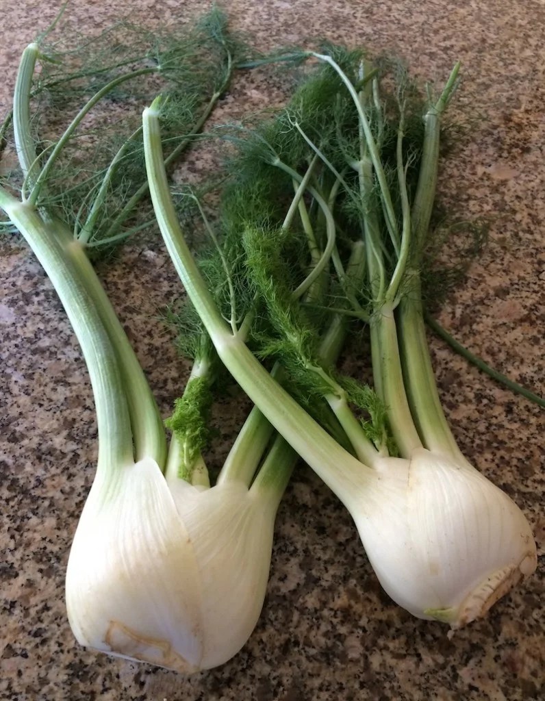 Fennel Fruit n' Veggie