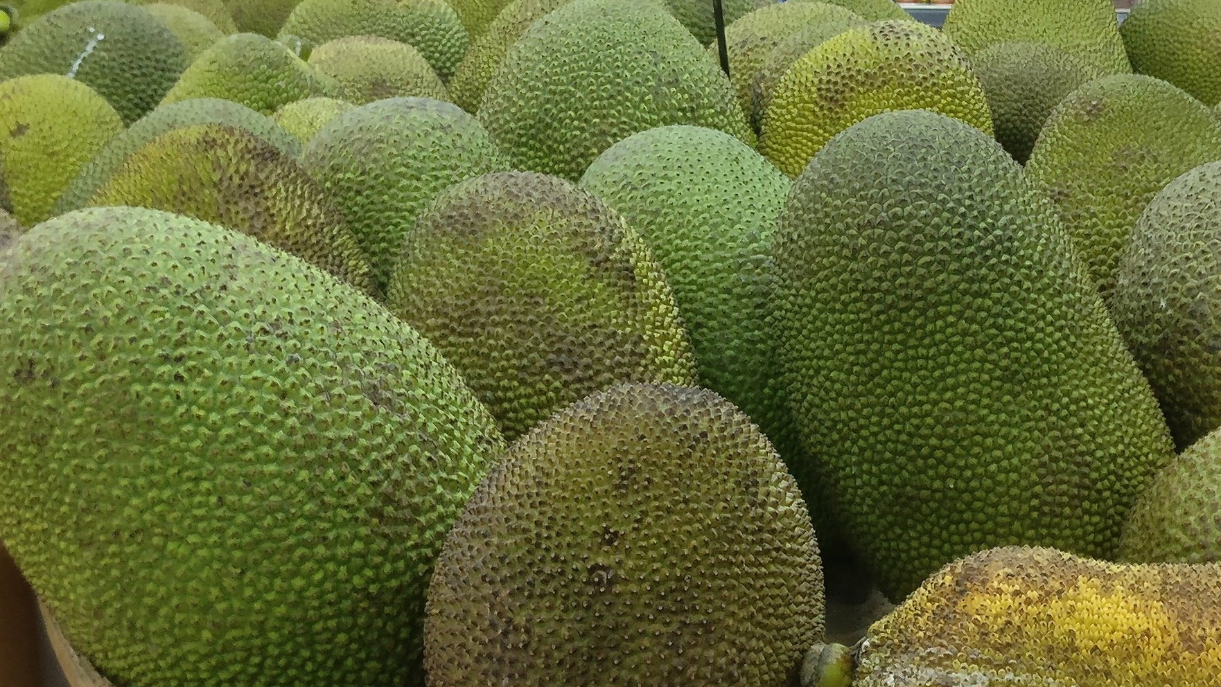 Is a Jackfruit a Fruit or a Vegetable?
