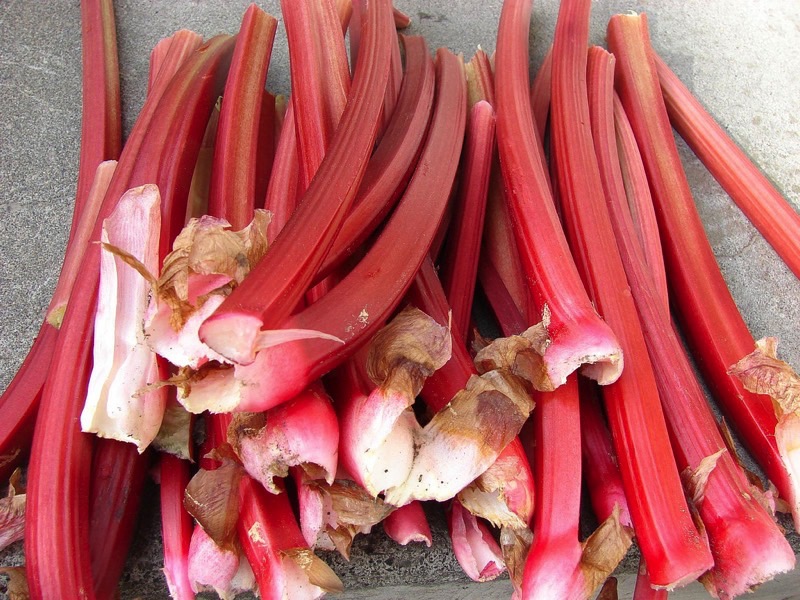 Is Rhubarb a Fruit or a Vegetable?