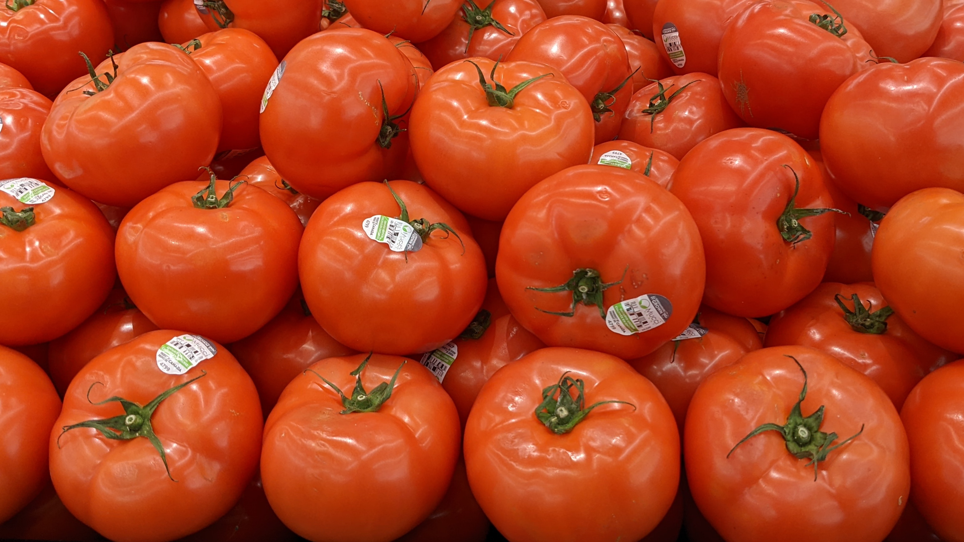 Is a Tomato a Fruit or a Vegetable?