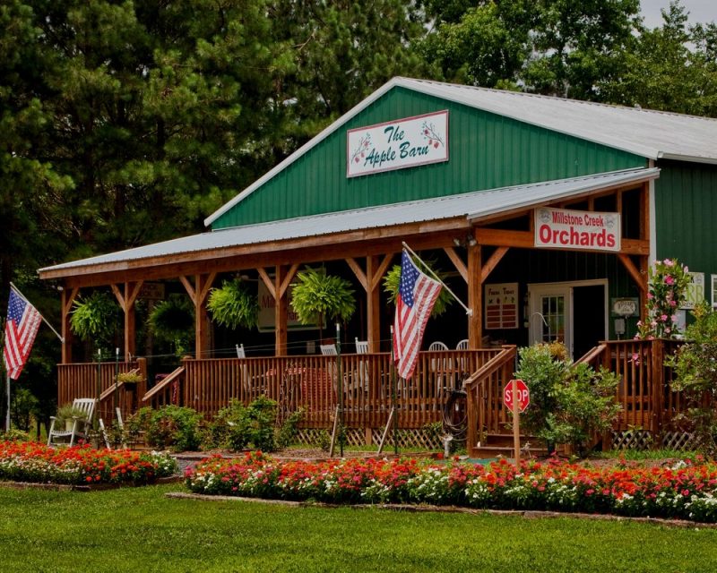 50 Spectacular Flower Fields Near Me Days Out On The Farm