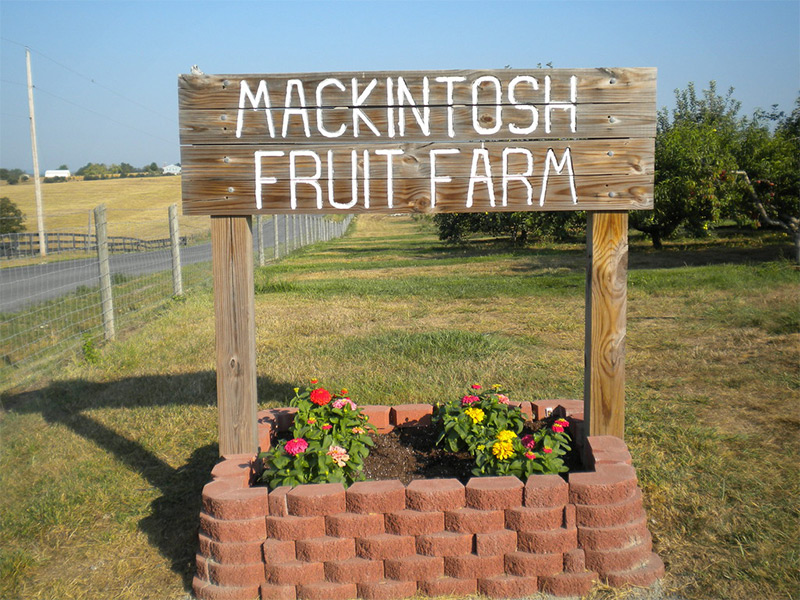 45+ Places for the Best Raw Local Honey Near Me Days Out On The Farm