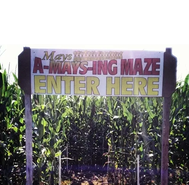 6 Best Places for a Corn Maze Long Island Days Out On The Farm