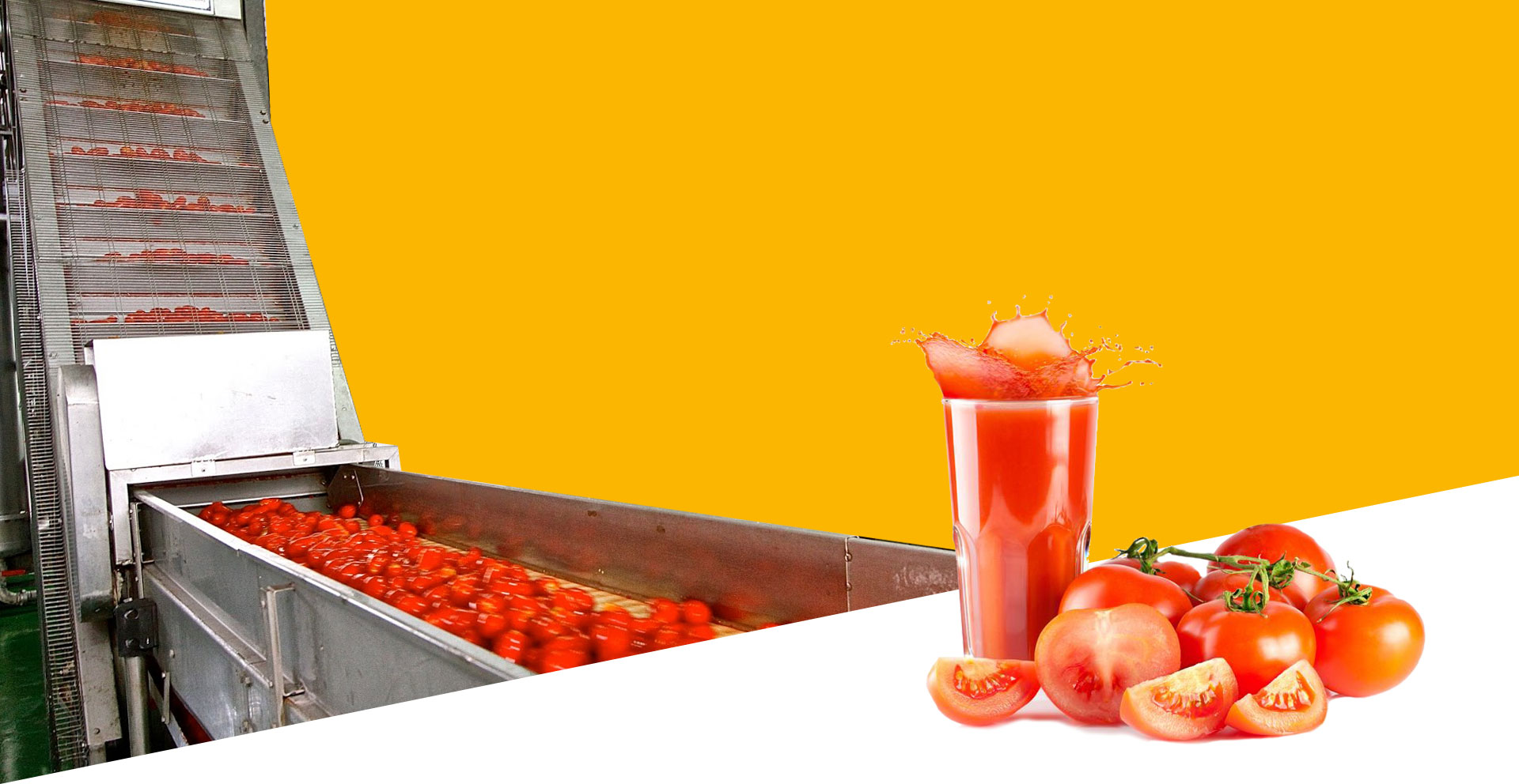 Anjoplus Machines Food Processing Machine Manufacturer, Food