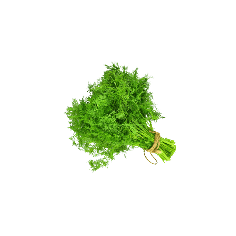 Dill Leaves Fruitrack