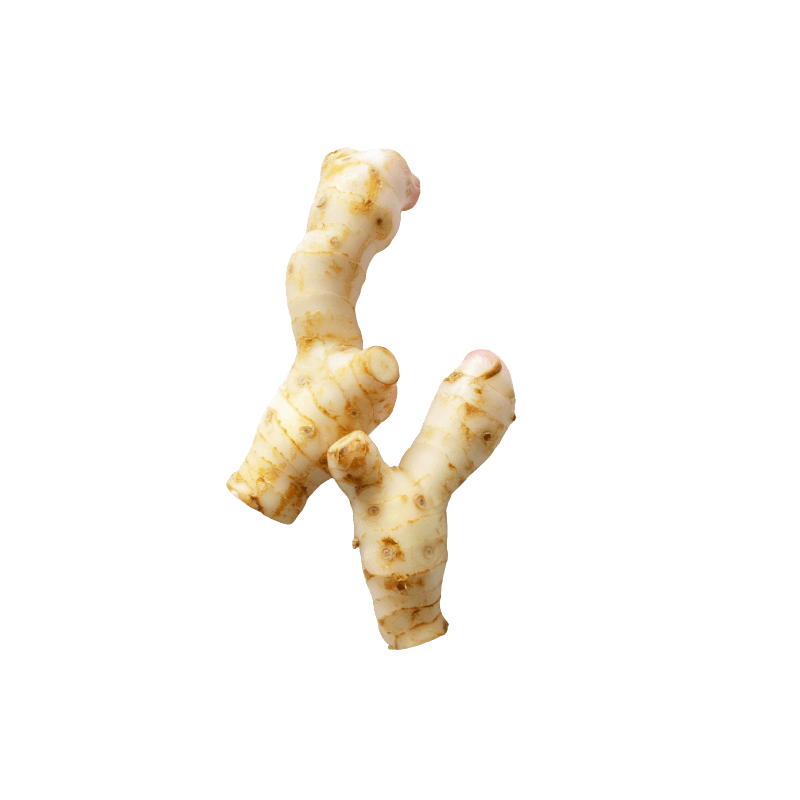 Galangal Fruitrack