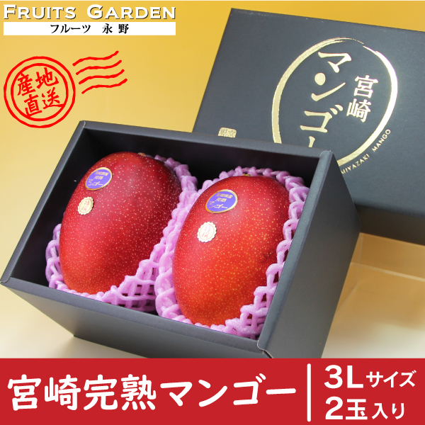 km3L2 FRUITS GARDEN フルーツ永野