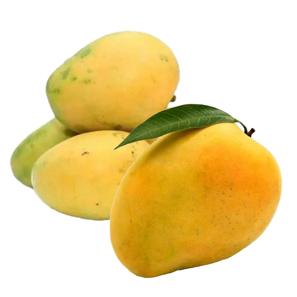 Alphonso Mangoes Fruits From India