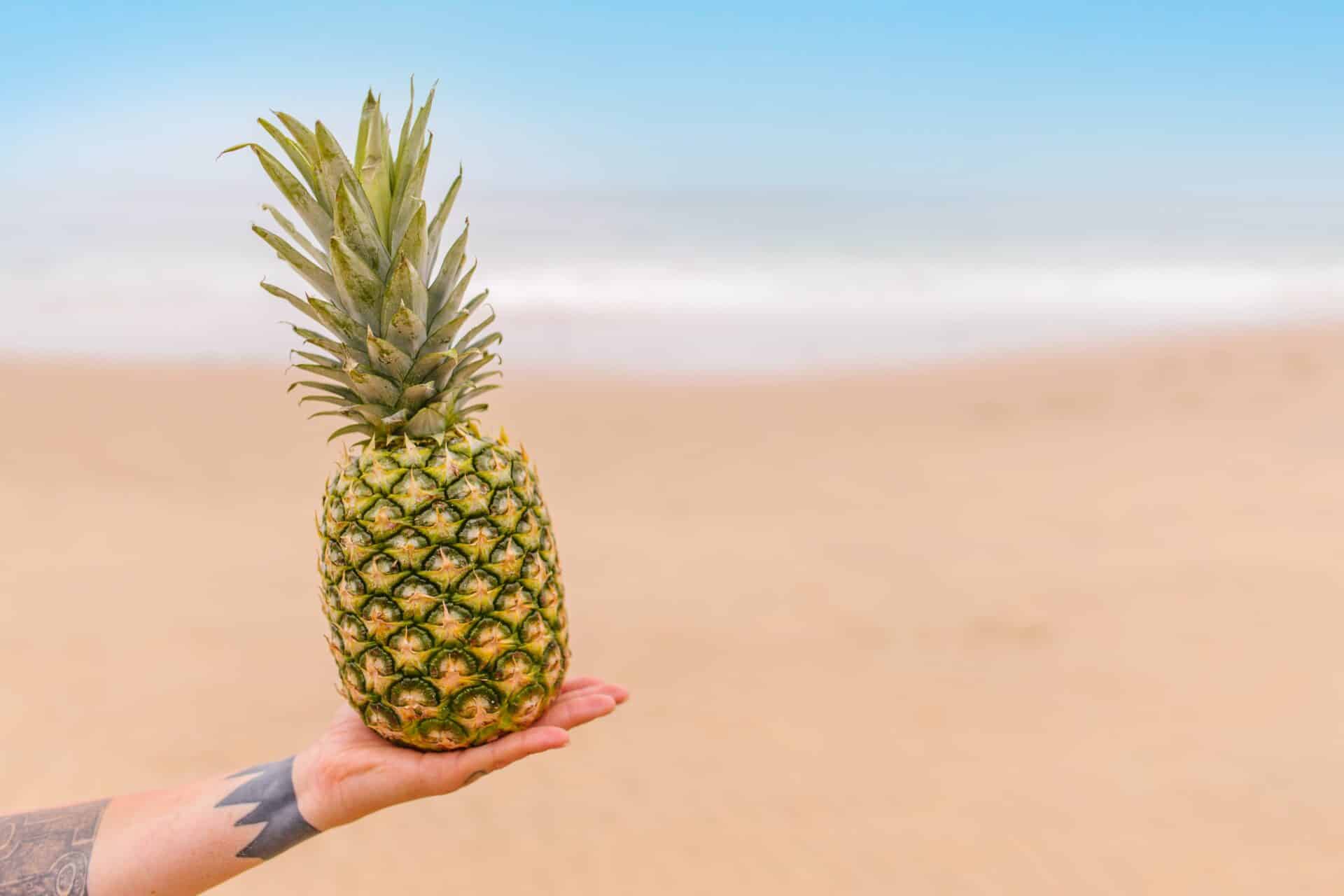 What Do Pineapple Tattoos Mean Fruits Knowledge World
