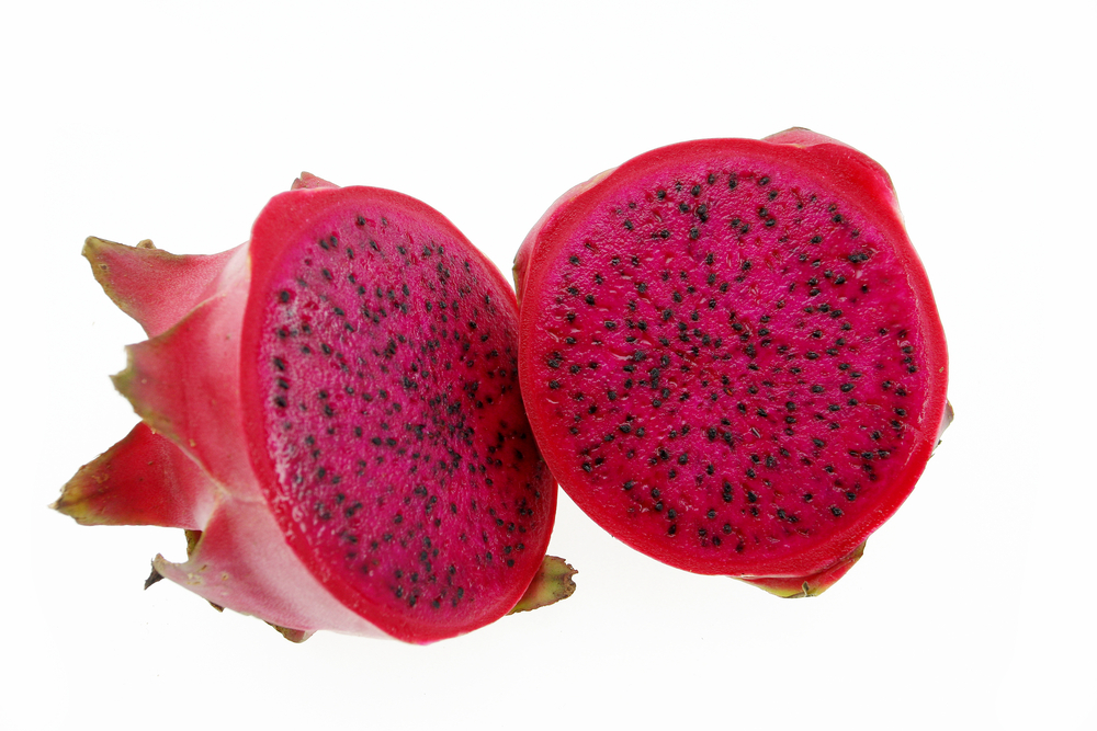 Dragon Fruit Red 90mm pots (Orchard Size) Fruit Tree Lane