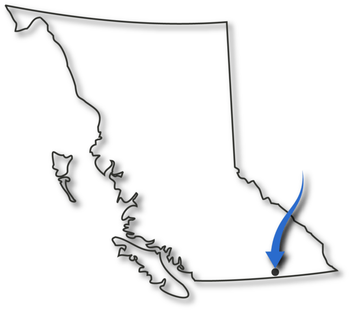 About Village of Fruitvale