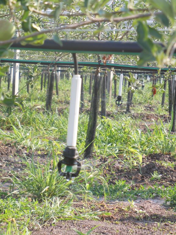 Irrigation with mini sprinkler Frustar