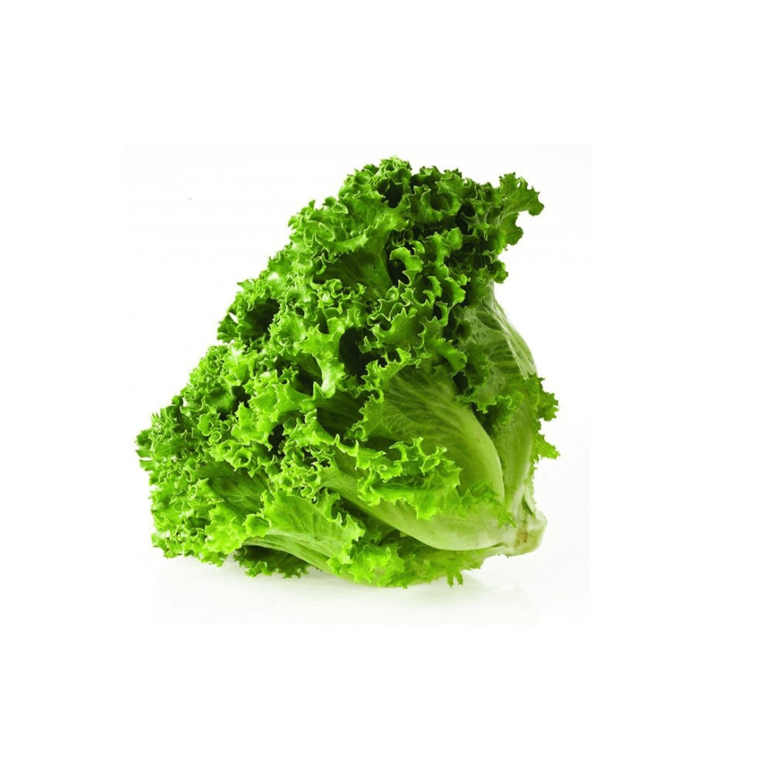 Lechuga batavia (unidad) Frutas Eli
