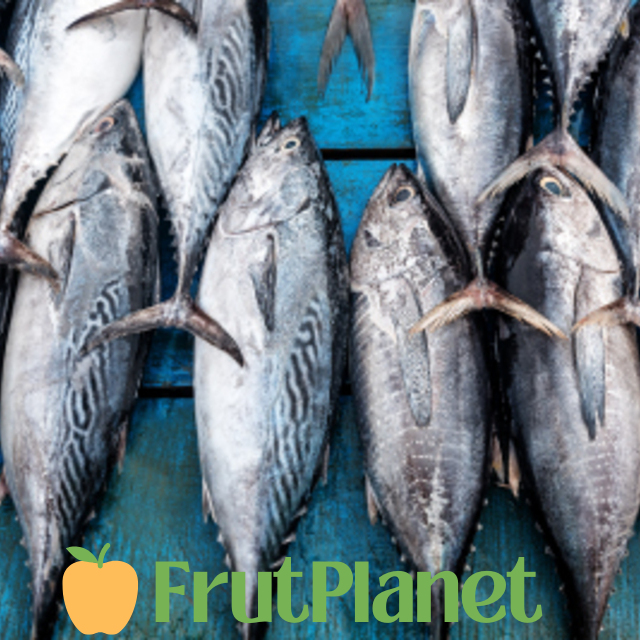 Buy Fresh Tuna Online From Exporters