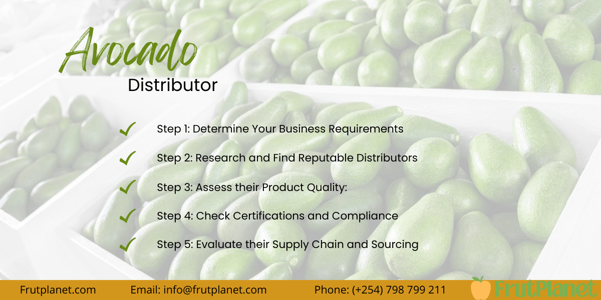 How To Choose An Avocado Distributor