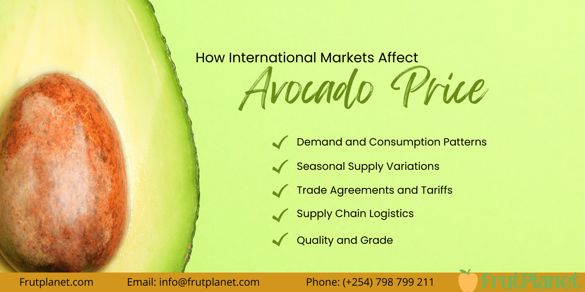 How Markets Affect Avocado Prices Per Kg