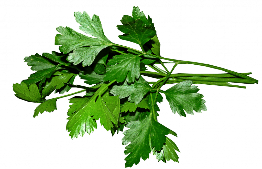 Chopped Archives fruvemex