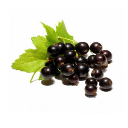 AGRAS – KG – IANDA – Distribuidora de Frutas y Verduras