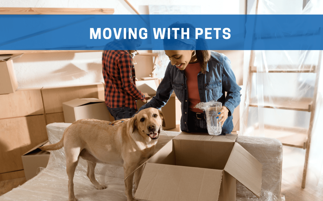 Moving with Pets FryWagner