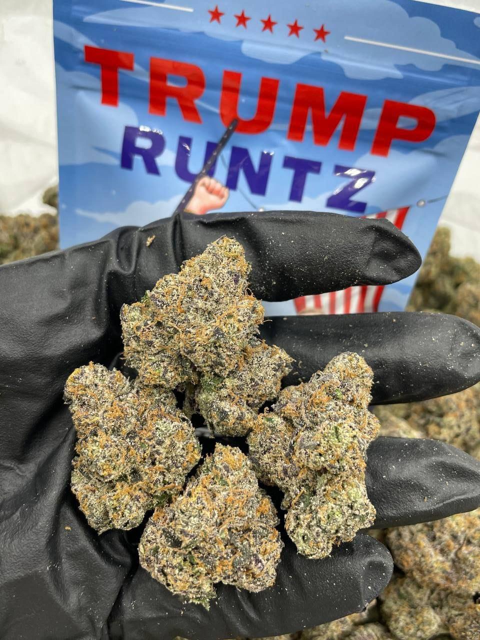 Buy Trump Runtz Weed Strain Best selling Weed Strain 2024