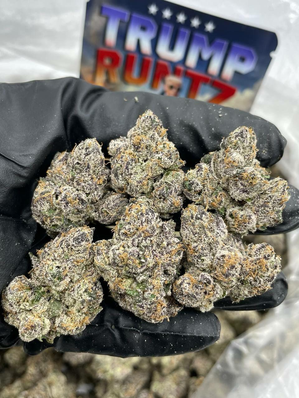Buy Trump Runtz Weed Strain Best selling Weed Strain 2024