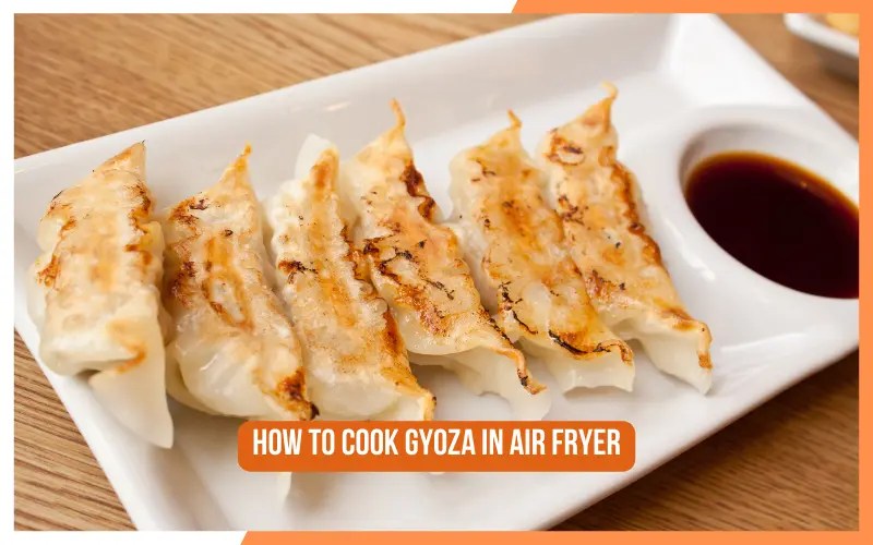 A Quick And Healthy Way To Cook Gyoza (Air Fryer Recipe)