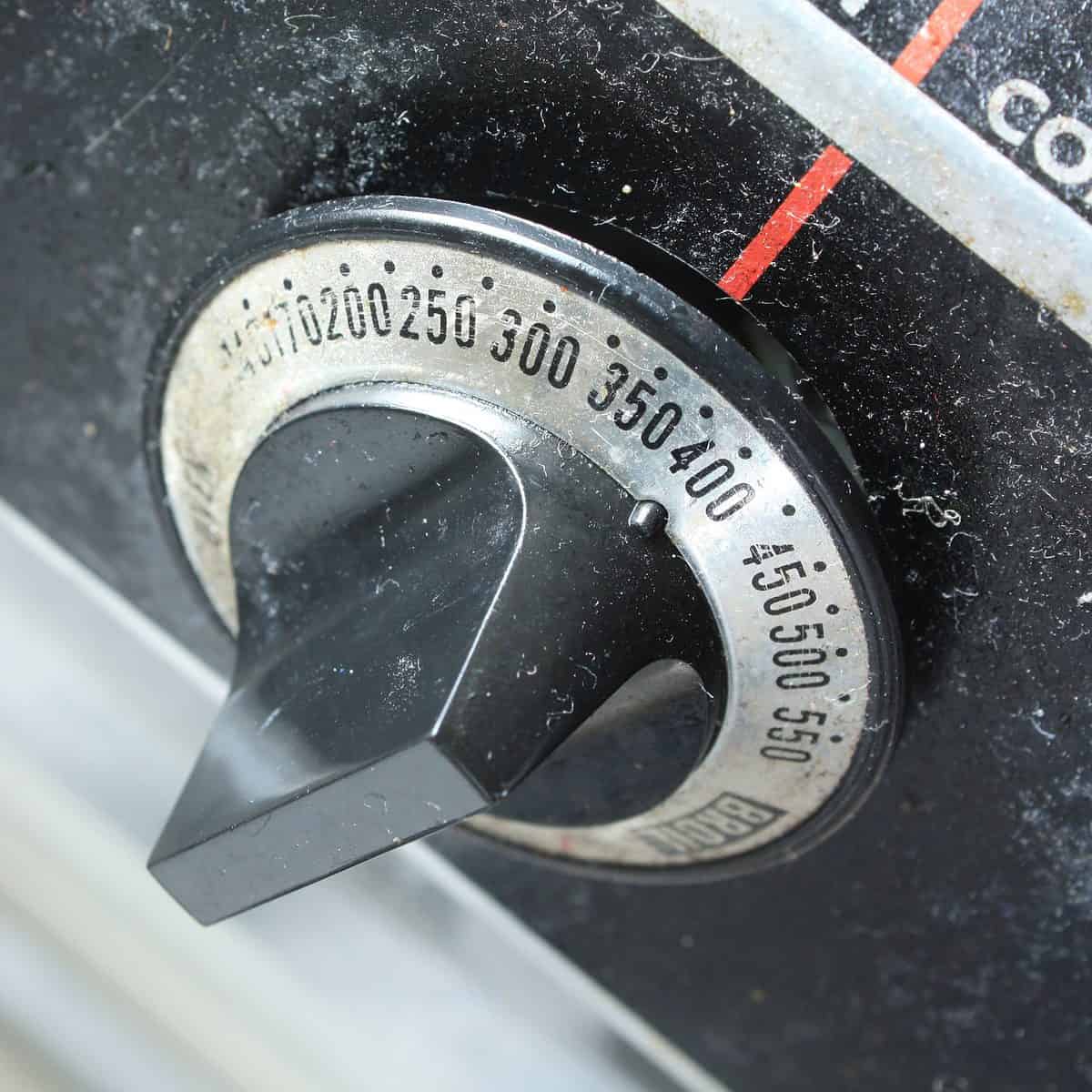 Are Air Fryers Toxic to Birds The Truth Exposed (2023)