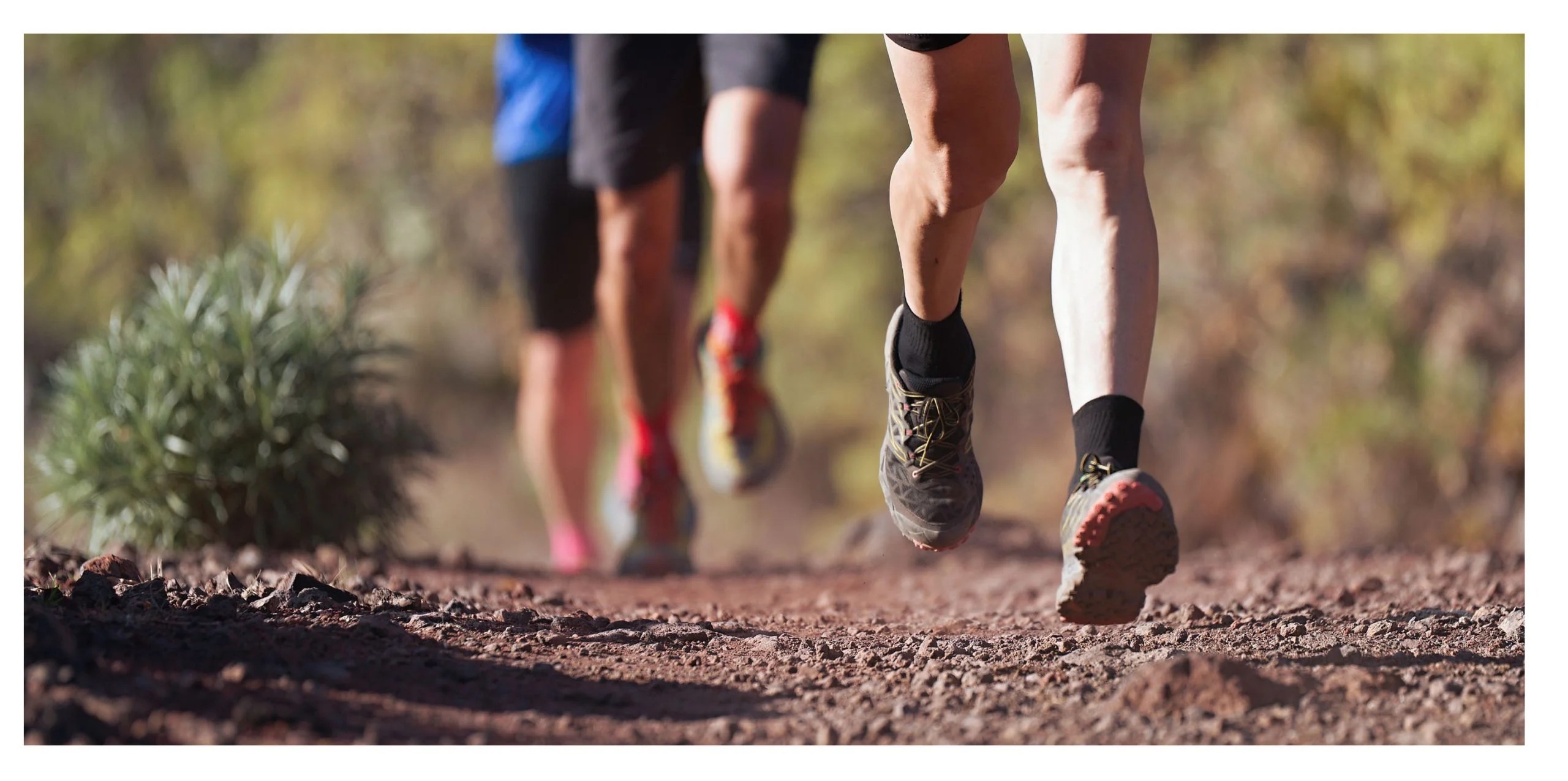 Rise in active leisure tourism benefits hospitality sector FRY Magazine