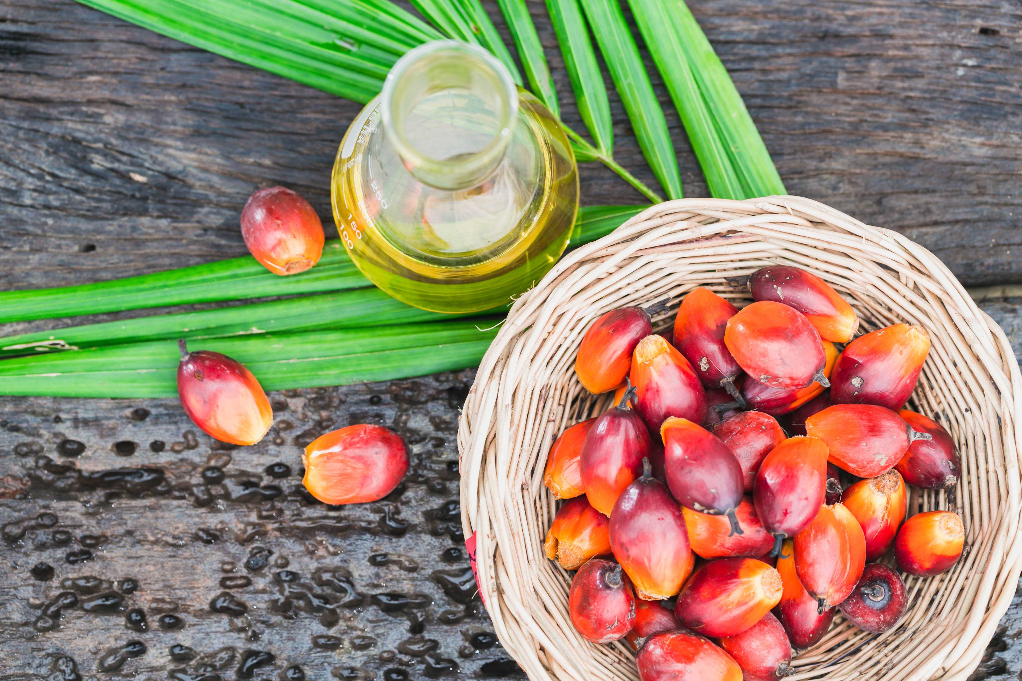 Sustainable Palm Oil Products Sustainable Palm Oil