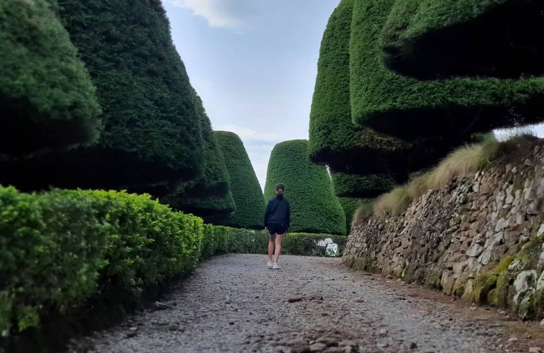 Bukit Jamur Ciwidey, Wisata Alam di Bandung dengan...