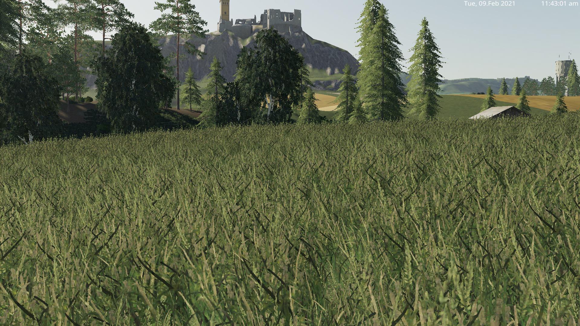 GRASS TEXTURE V1.0 FS19 mod