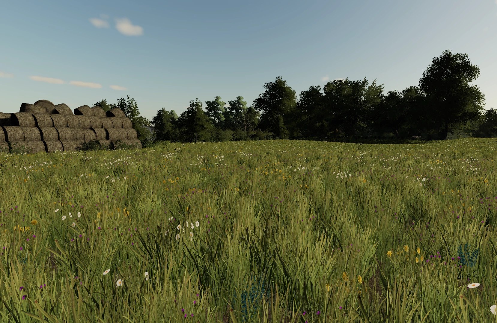 ERLENGRAT GRASS V1.0 FS19 mod