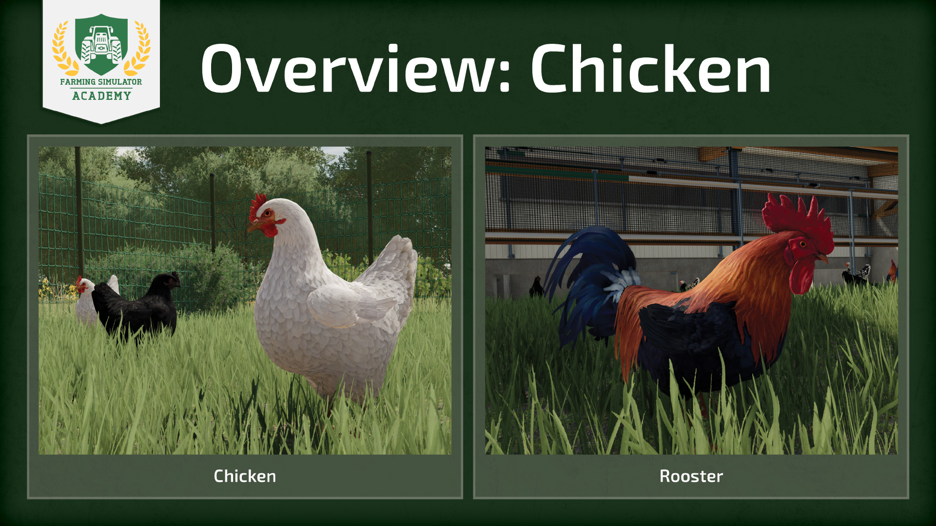 Farming Simulator 22 Chickens How to breed and care for them