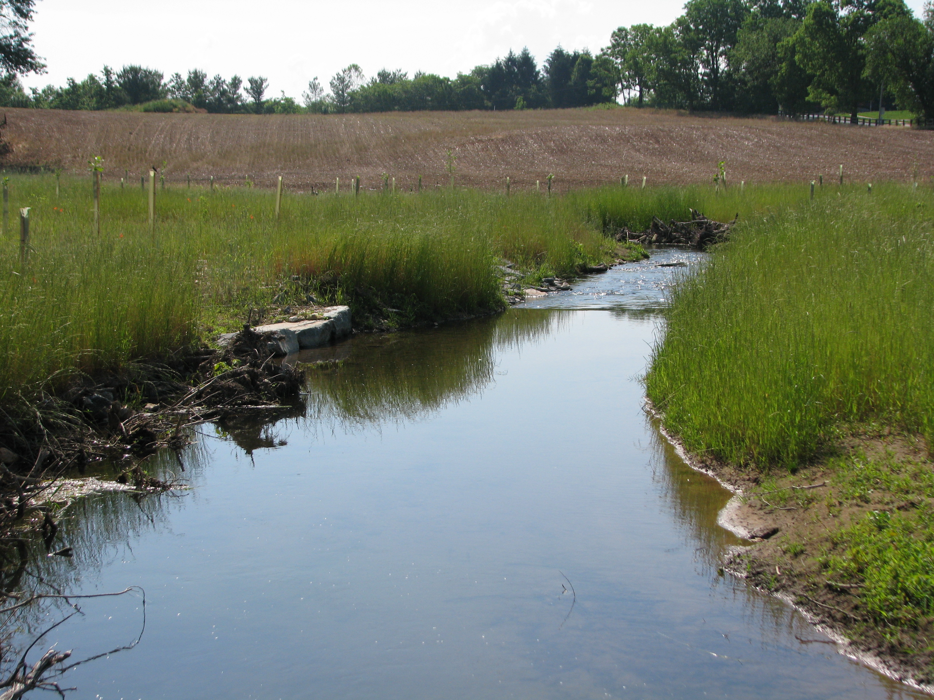 Little Tuscarora Creek Restoration and Habitat Creation Frederick, Seibert & Associates, Inc.
