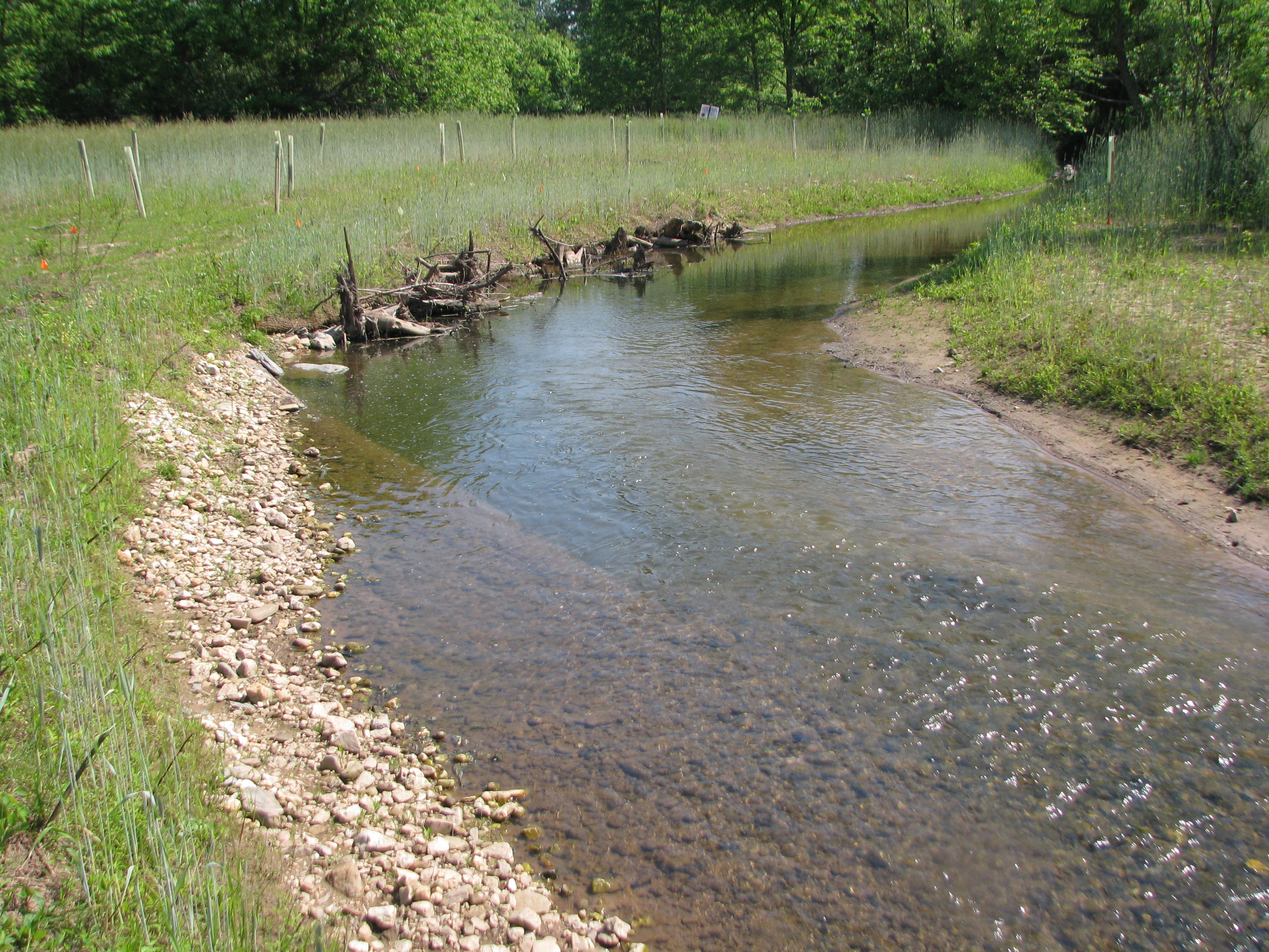 Little Tuscarora Creek Restoration and Habitat Creation Frederick