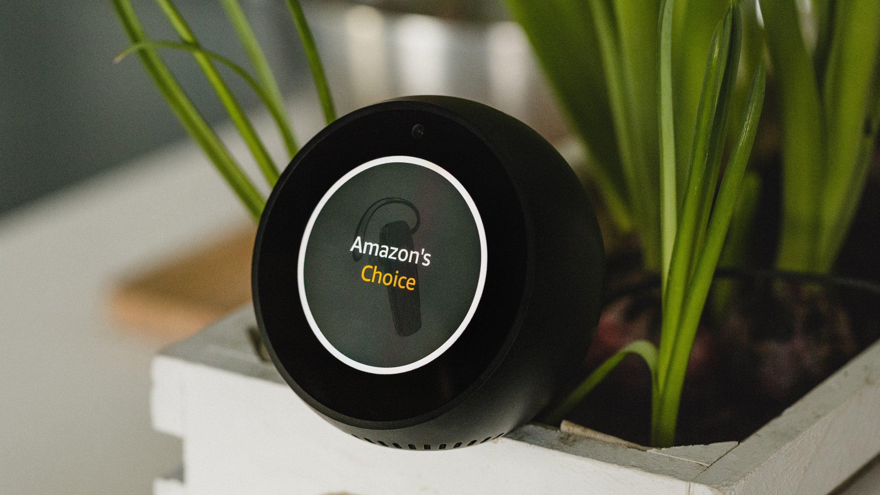 You can now use Amazon Alexa..... with a wriggling and singing fish