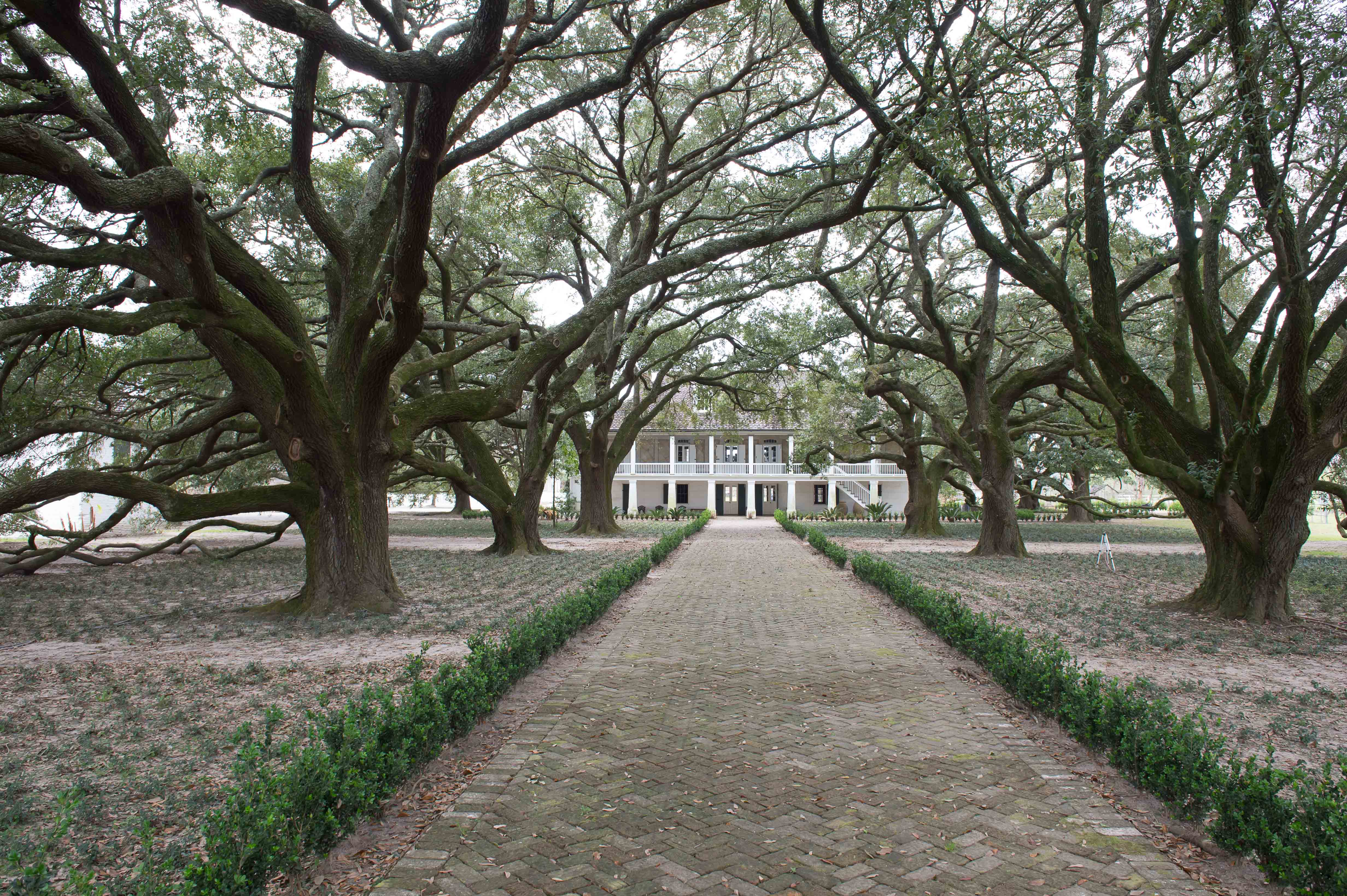 Whitney Plantation Franklin Street