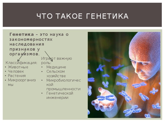 Skachat prezentaciyu na temu genetika cheloveka prezent — иллюстрация 3