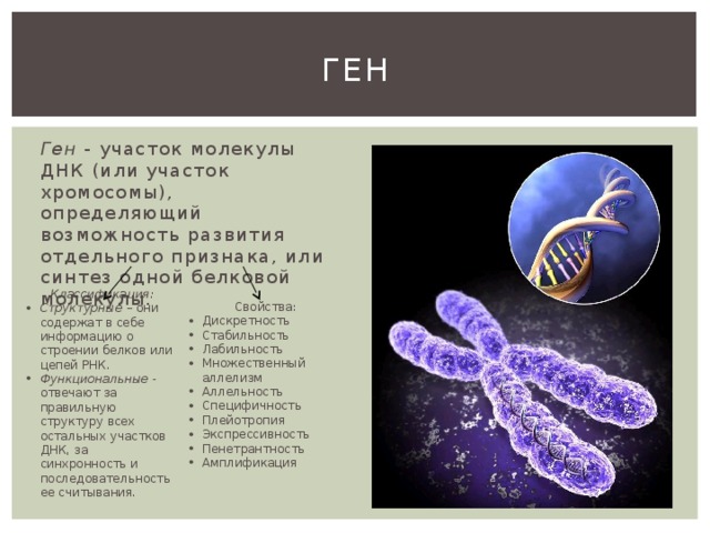 Skachat prezentaciyu na temu genetika cheloveka prezent — иллюстрация 4